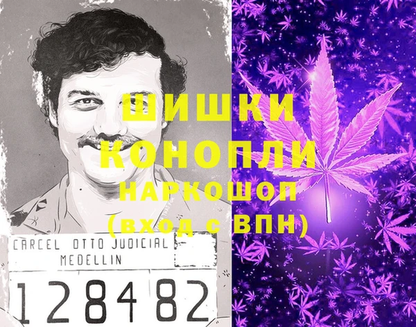 сатива Алексин