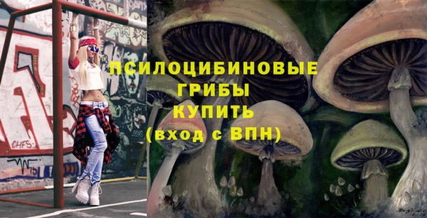 сатива Алексин
