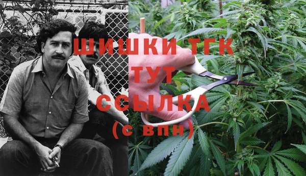 ПСИЛОЦИБИНОВЫЕ ГРИБЫ Алексеевка