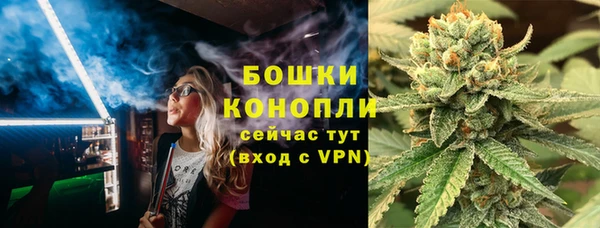 сатива Алексин