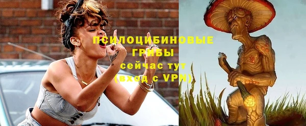 ПСИЛОЦИБИНОВЫЕ ГРИБЫ Алексеевка