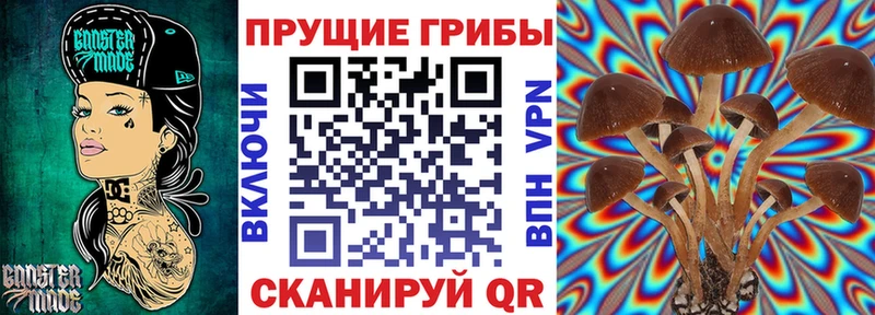 Галлюциногенные грибы прущие грибы где найти наркотики Перевоз